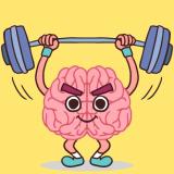 Perfect Brain 3D
